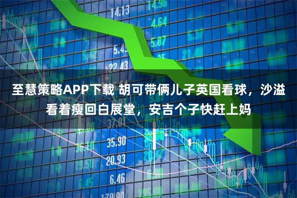 至慧策略APP下载 胡可带俩儿子英国看球，沙溢看着瘦回白展堂，安吉个子快赶上妈