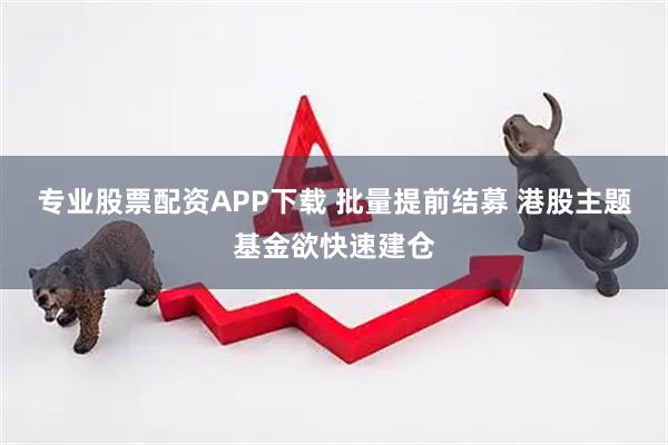 专业股票配资APP下载 批量提前结募 港股主题基金欲快速建仓