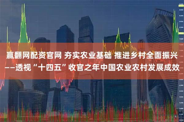赢翻网配资官网 夯实农业基础 推进乡村全面振兴——透视“十四五”收官之年中国农业农村发展成效