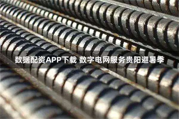 数据配资APP下载 数字电网服务贵阳避暑季